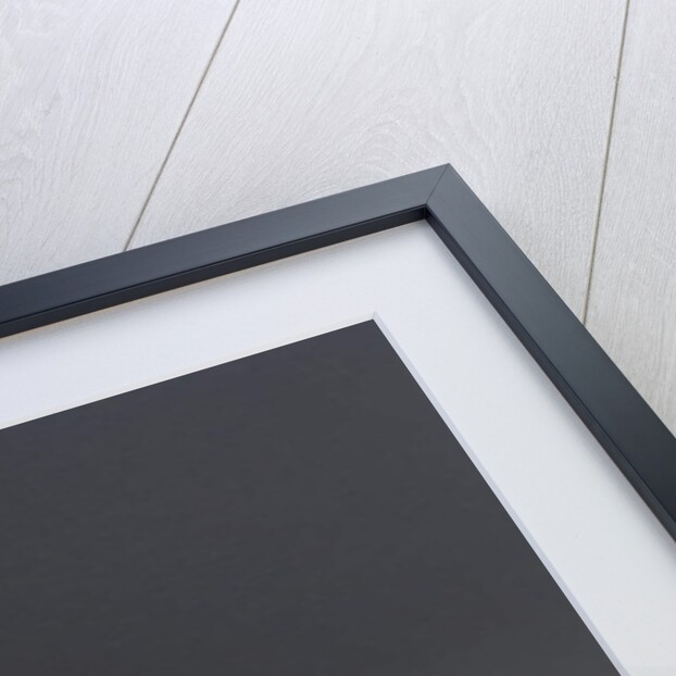 Zebra - After Stubbs, 2018 by Peter Jones