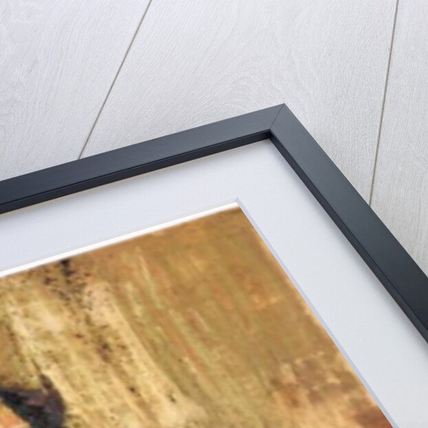 Space, 2017 by Emma Prempeh