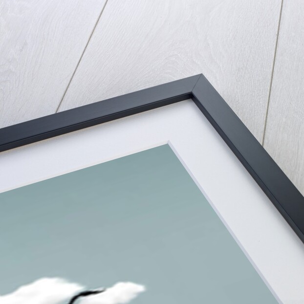 Let The Wind Blows, 2018 by Hardijanto Budiman