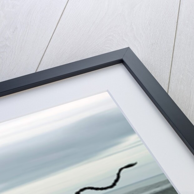 Eternal Sunshine in The Hopeless Mind, 2020 by Hardijanto Budiman