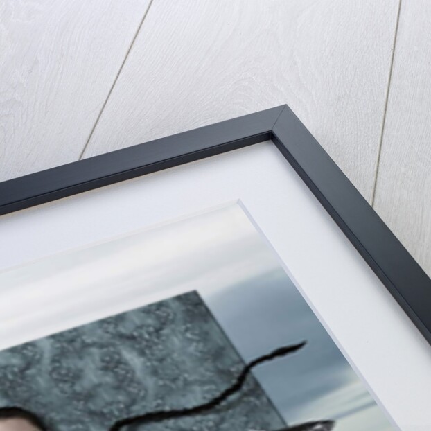 Ocean Dream, 2020 by Hardijanto Budiman