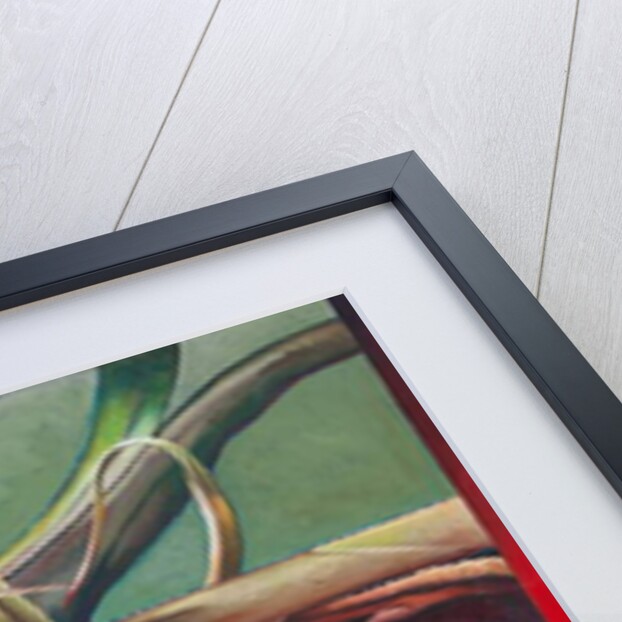 Century Plant, 2011 by Frances Ferdinands