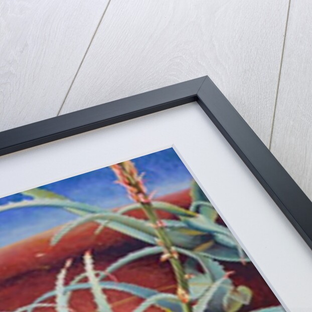 Aloe, 1991 by Frances Ferdinands