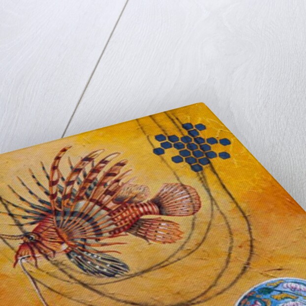 Catch, 2006 by Frances Ferdinands