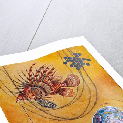 Catch, 2006 by Frances Ferdinands