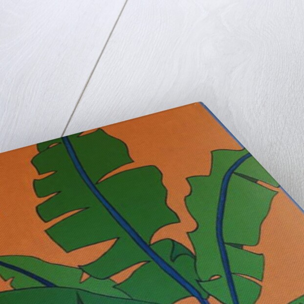 Banana plant number 5, 2014 by Timothy Nathan Joel