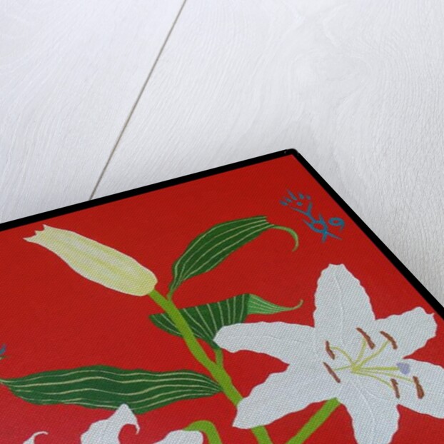 White lily on a red background no.2, 2008 by Timothy Nathan Joel