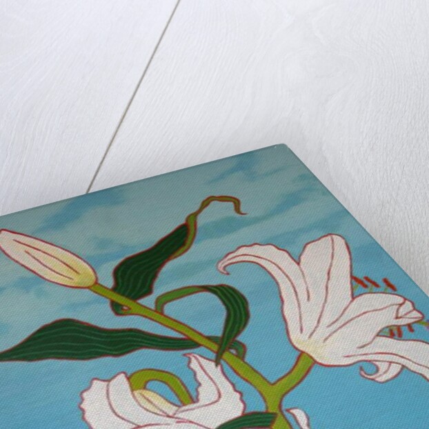 White lily on a blue background, 2010 by Timothy Nathan Joel