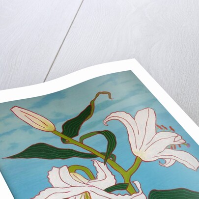 White lily on a blue background, 2010 by Timothy Nathan Joel