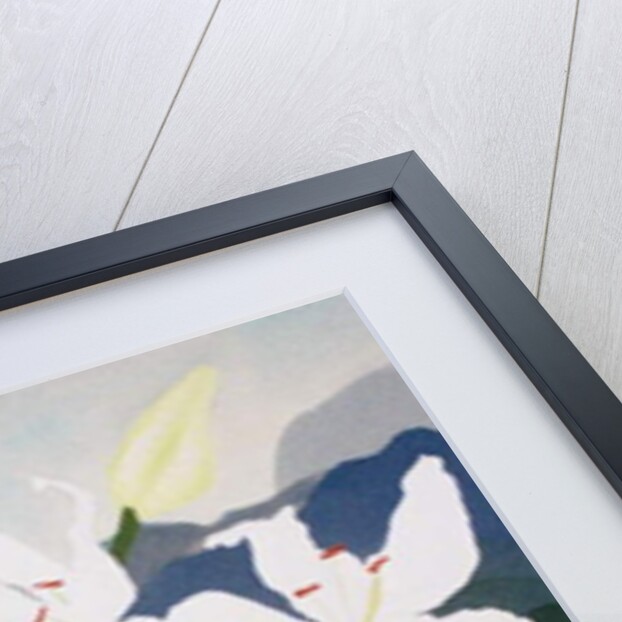 Lily, lime and lychee, 2004 by Timothy Nathan Joel