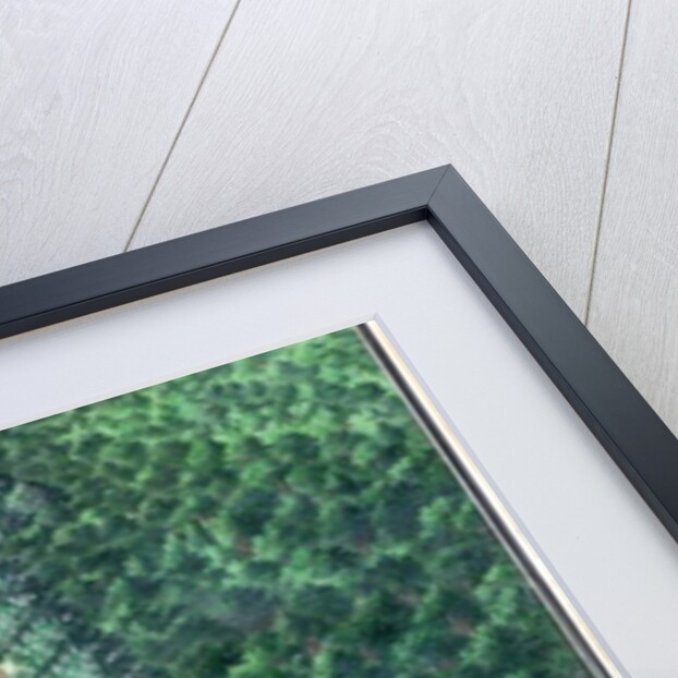 The Cascade, altered at the end of 1706, in the grove on the hill by French School