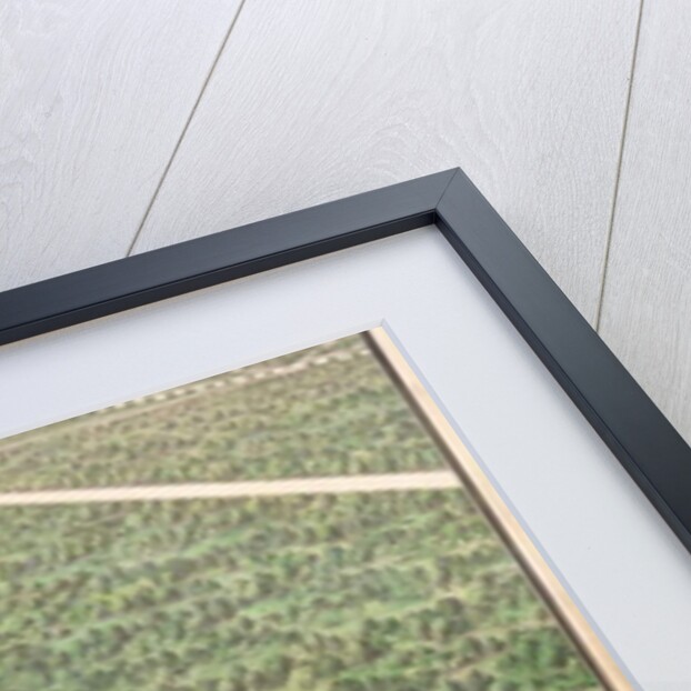 The River, remodelled 1706-07 by French School