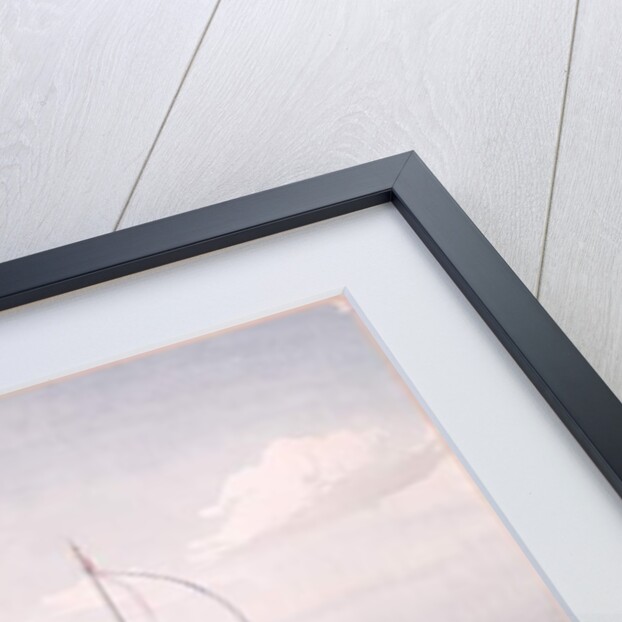 Tent and Big Glasshouse in the Garden of the Universal Exhibition in Paris in 1867 by French School