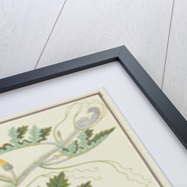 Mindikay or Water Melon by School Chinese