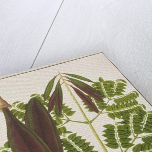 Midnight Horror by School Chinese