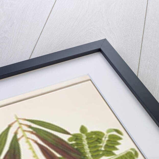 Midnight Horror by School Chinese