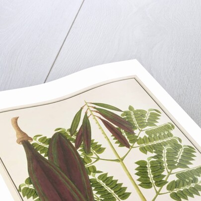 Midnight Horror by School Chinese