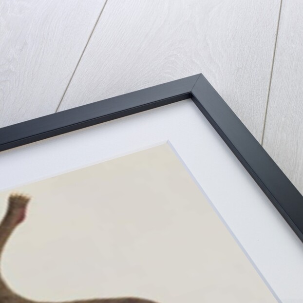 Koolong Lemur, Macanee by School Chinese