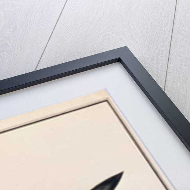 Bombay Duck by School Chinese