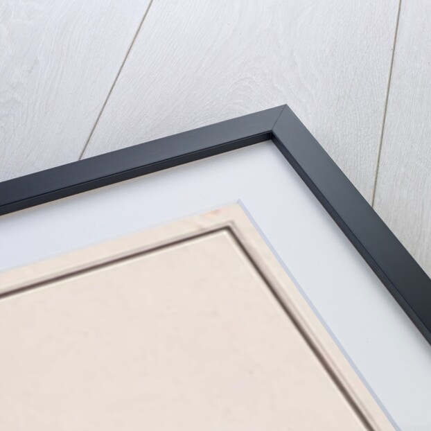 Indo-Pacific King Mackerel by School Chinese