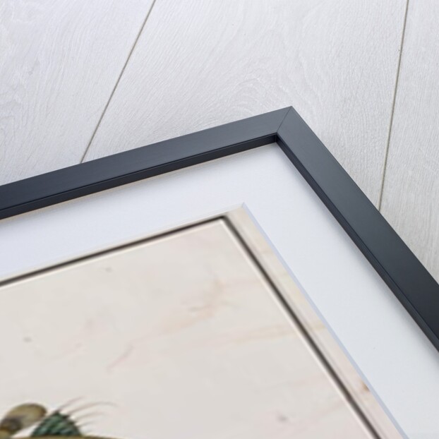 Mud Fish, Bloodo chiena, Bloodo La-ore by School Chinese