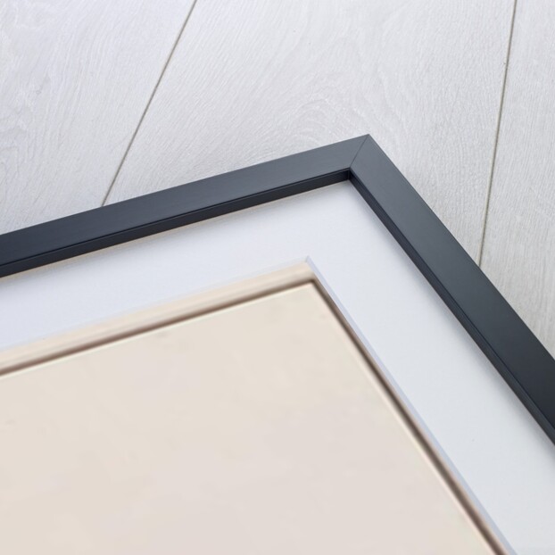 Dorab Wolf-herring by School Chinese