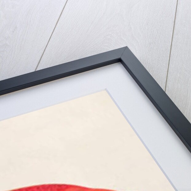 Eekan Bambangan by School Chinese