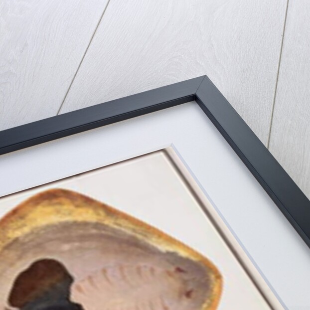 Thorn Back Fish, Parie Eetam by School Chinese