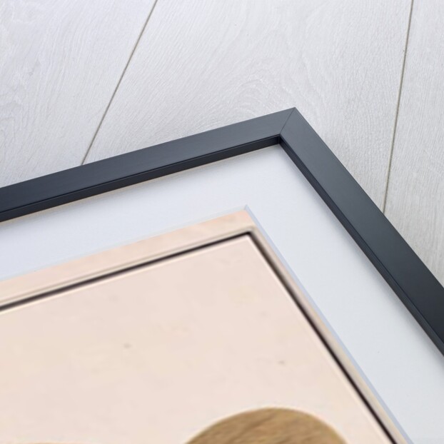 Giant Sea Perch by School Chinese