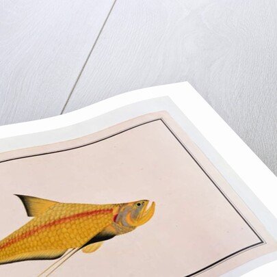 Eekan Bieung Bieung by School Chinese