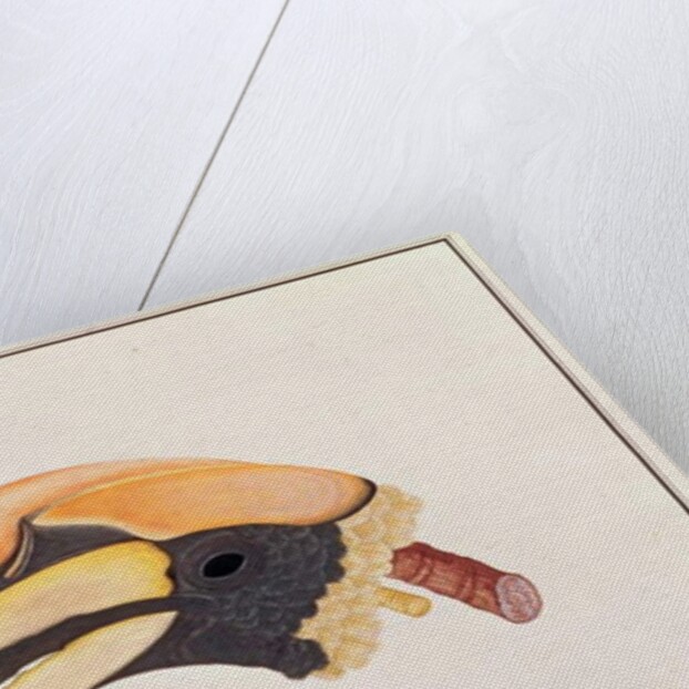 Great Hornbill by School Chinese