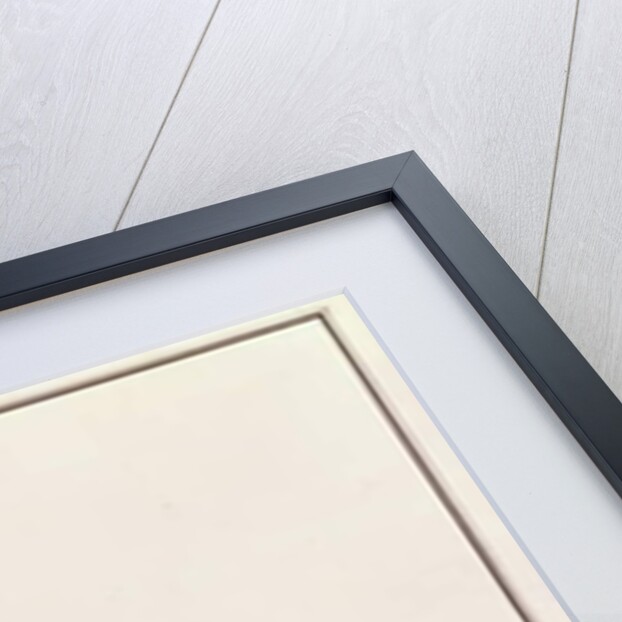 Great Hornbill by School Chinese