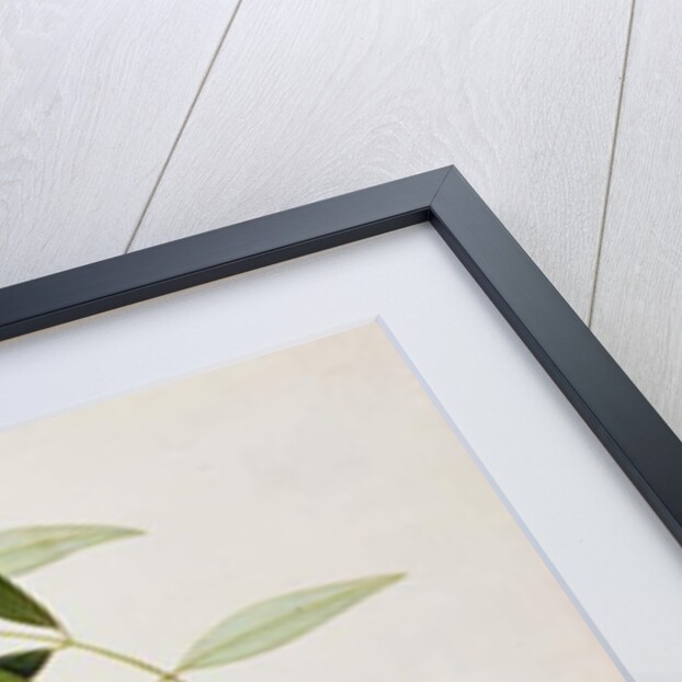 Boorah Farleeh by School Chinese