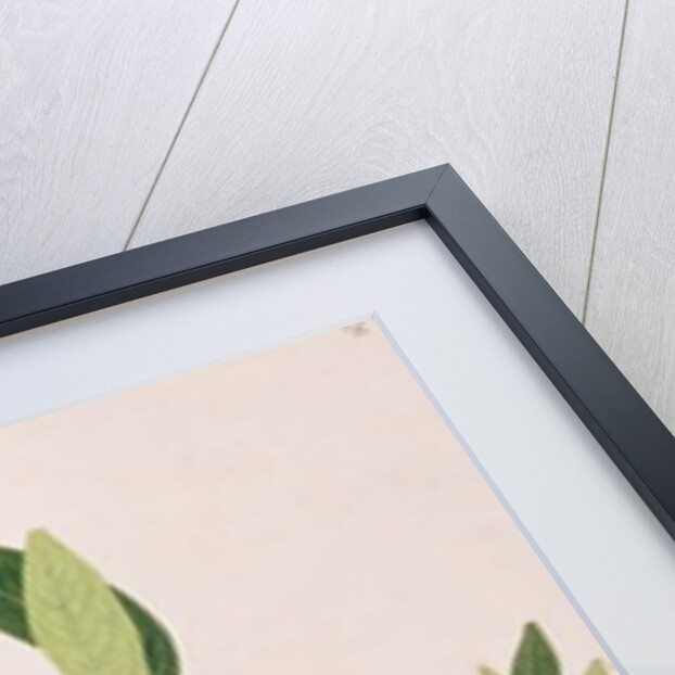 Java Sparrow by School Chinese