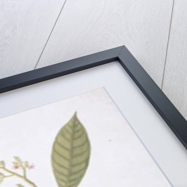 Booah Nawa Hawa by School Chinese