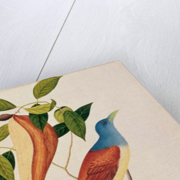 Boorong Seli-ah by School Chinese