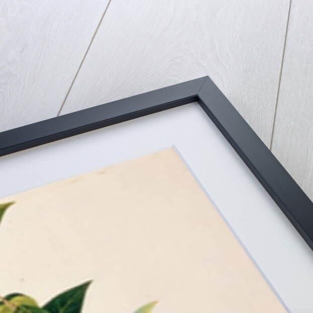 Boorong Seli-ah by School Chinese