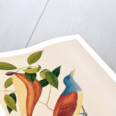 Boorong Seli-ah by School Chinese