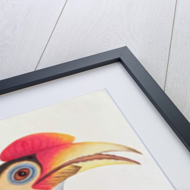 Ke-ke by School Chinese