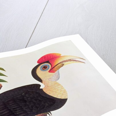 Ke-ke by School Chinese