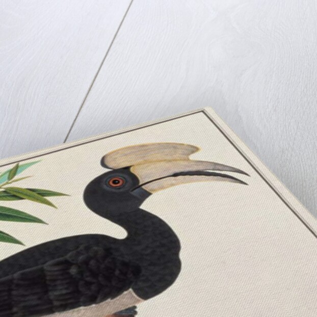 Ke-ke by School Chinese