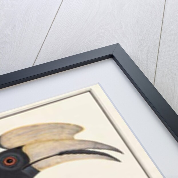 Ke-ke by School Chinese