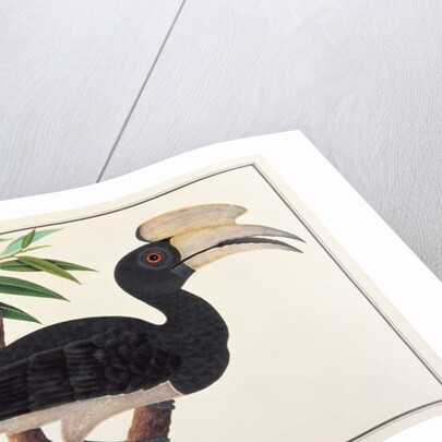 Ke-ke by School Chinese