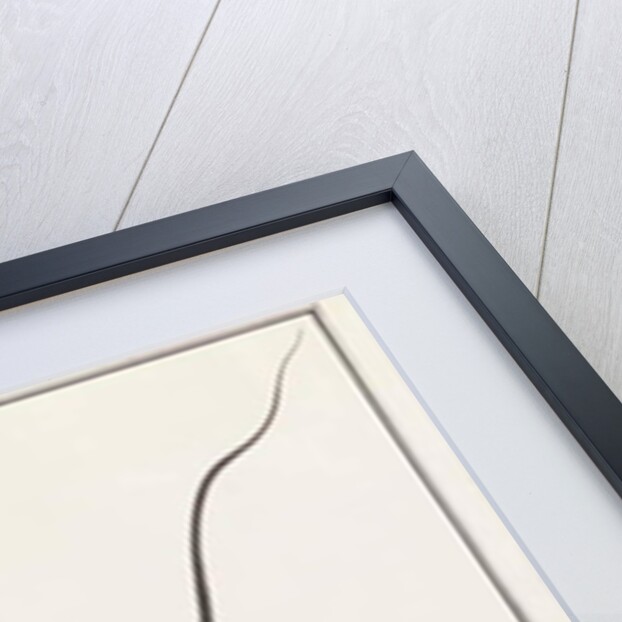 Painted Bronzeback with Banded Malayan Coral Snake by School Chinese