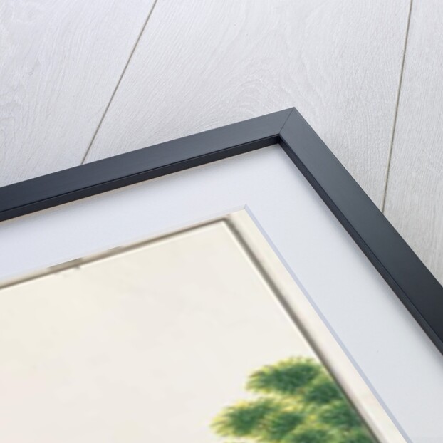 Sunda Pangolin by School Chinese