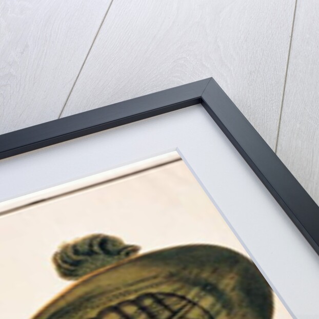 River Turtle, Labie Labu by School Chinese