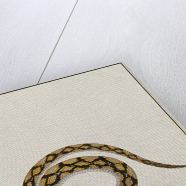 Oolur Chinde by School Chinese