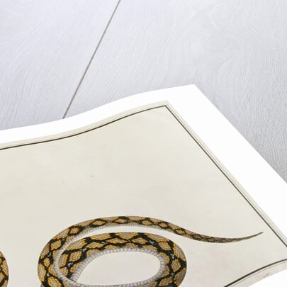 Oolur Chinde by School Chinese