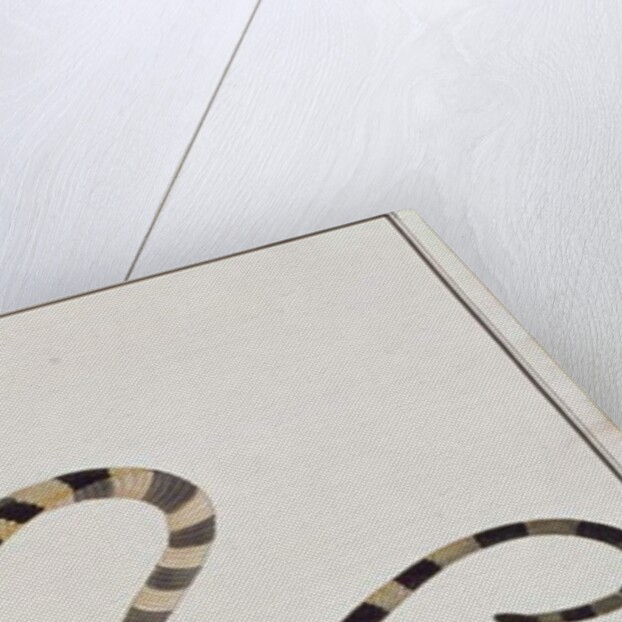 Ular Pontong Teboo by School Chinese