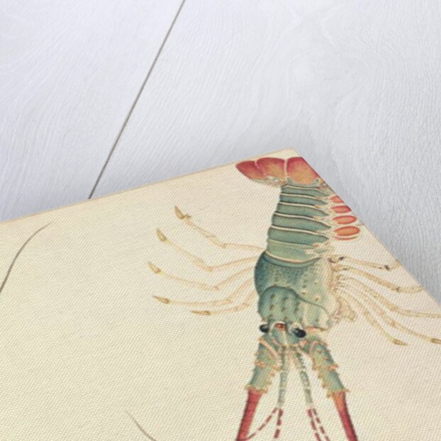 Oodang Katik la-ote by School Chinese